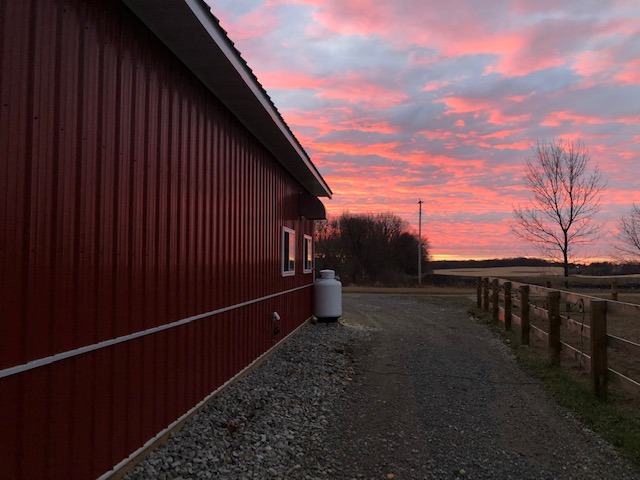 Barn and arena at dusk
