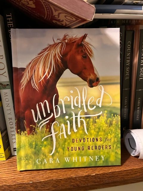 unbridled faith for young riders ... there is one for Adults too!