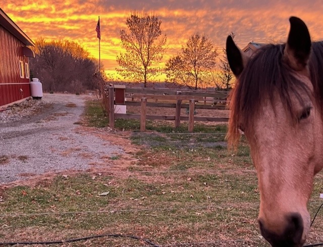 A beautiful Sunset with beautiful Sonora