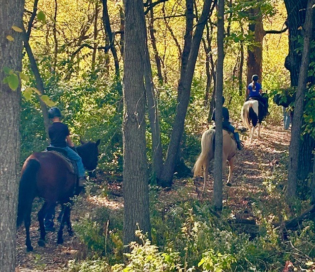 Fall Color Trail Ride