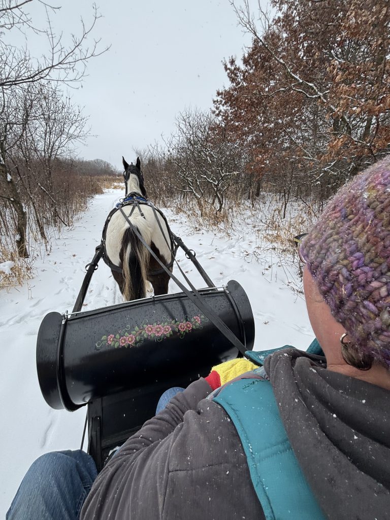 Winter means snow.  Snow means sleighs!