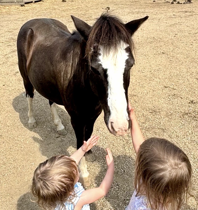Little Indigo (Indi) with two new friends