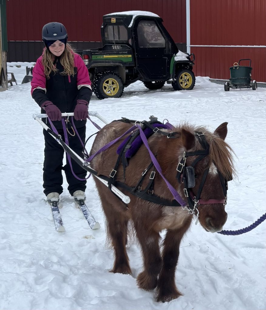 Skijoring builds confidence in the cold!
